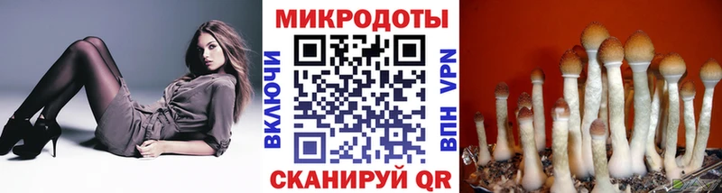 Галлюциногенные грибы Magic Shrooms  Купить закладки  Чистополь 